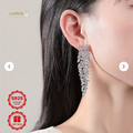 S925 Silver New Long Tassel Moissanite Earrings Earrings