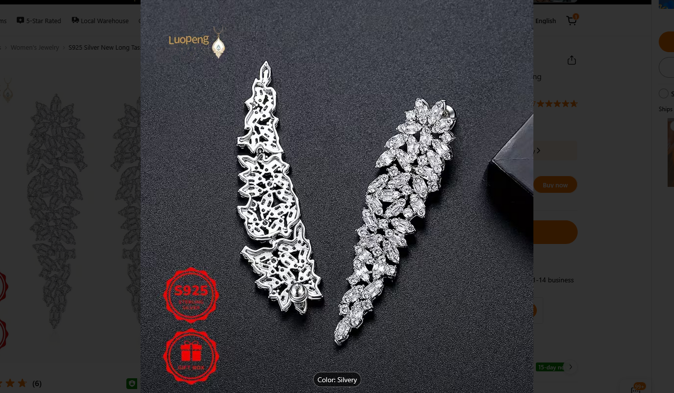 S925 Silver New Long Tassel Moissanite Earrings Earrings