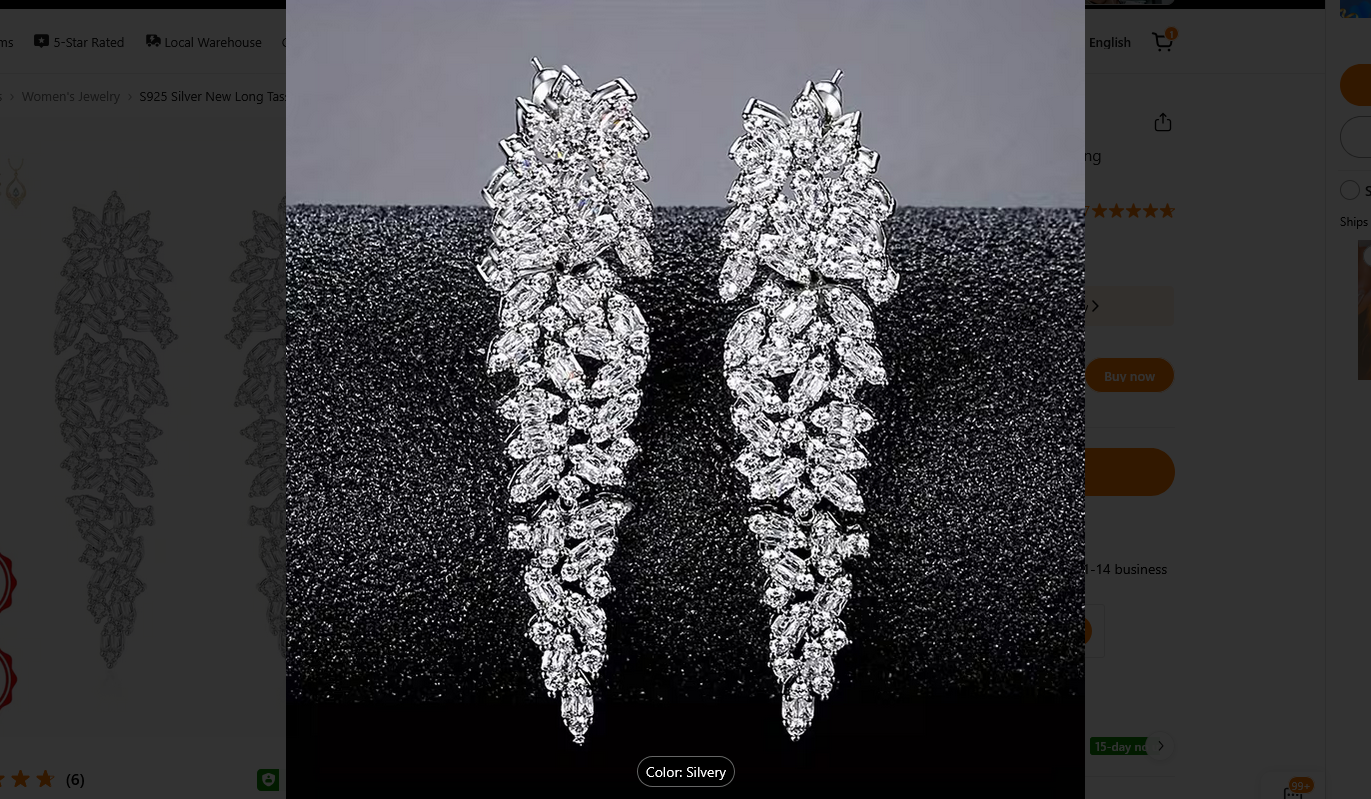 S925 Silver New Long Tassel Moissanite Earrings Earrings
